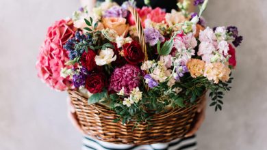 Çiçek Sepeti, yalnızca çiçek değil ev dekorasyonundan elektronik eşyaya kadar birçok kategoriye sahiptir.